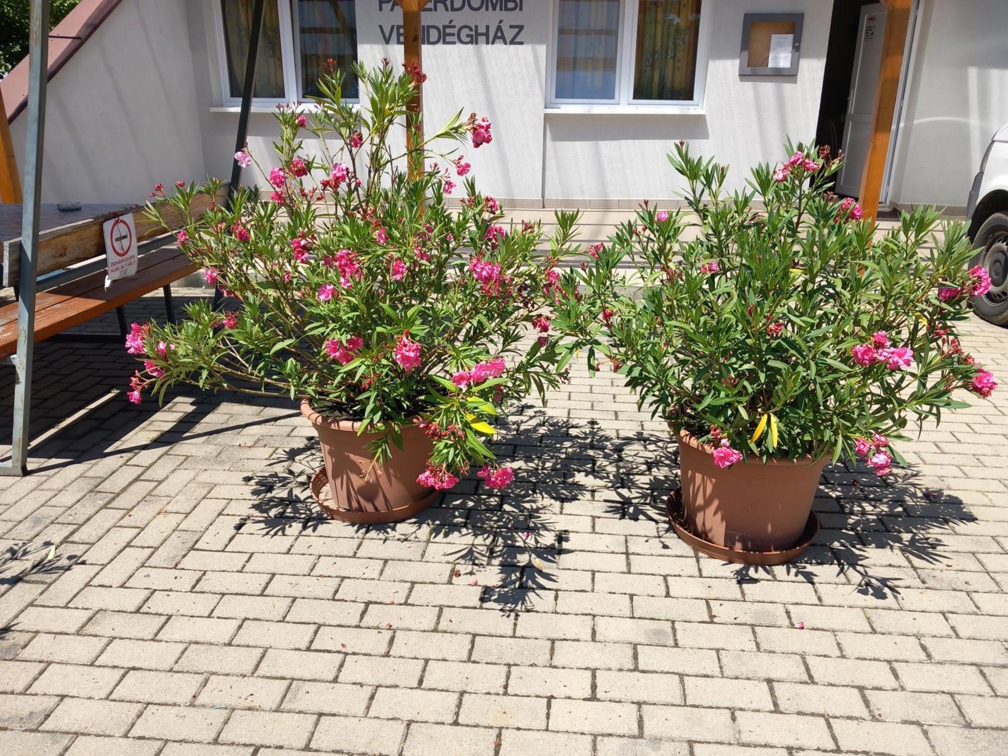 Paterdombi Vendeghaz Hotel Zalaegerszeg Exterior foto
